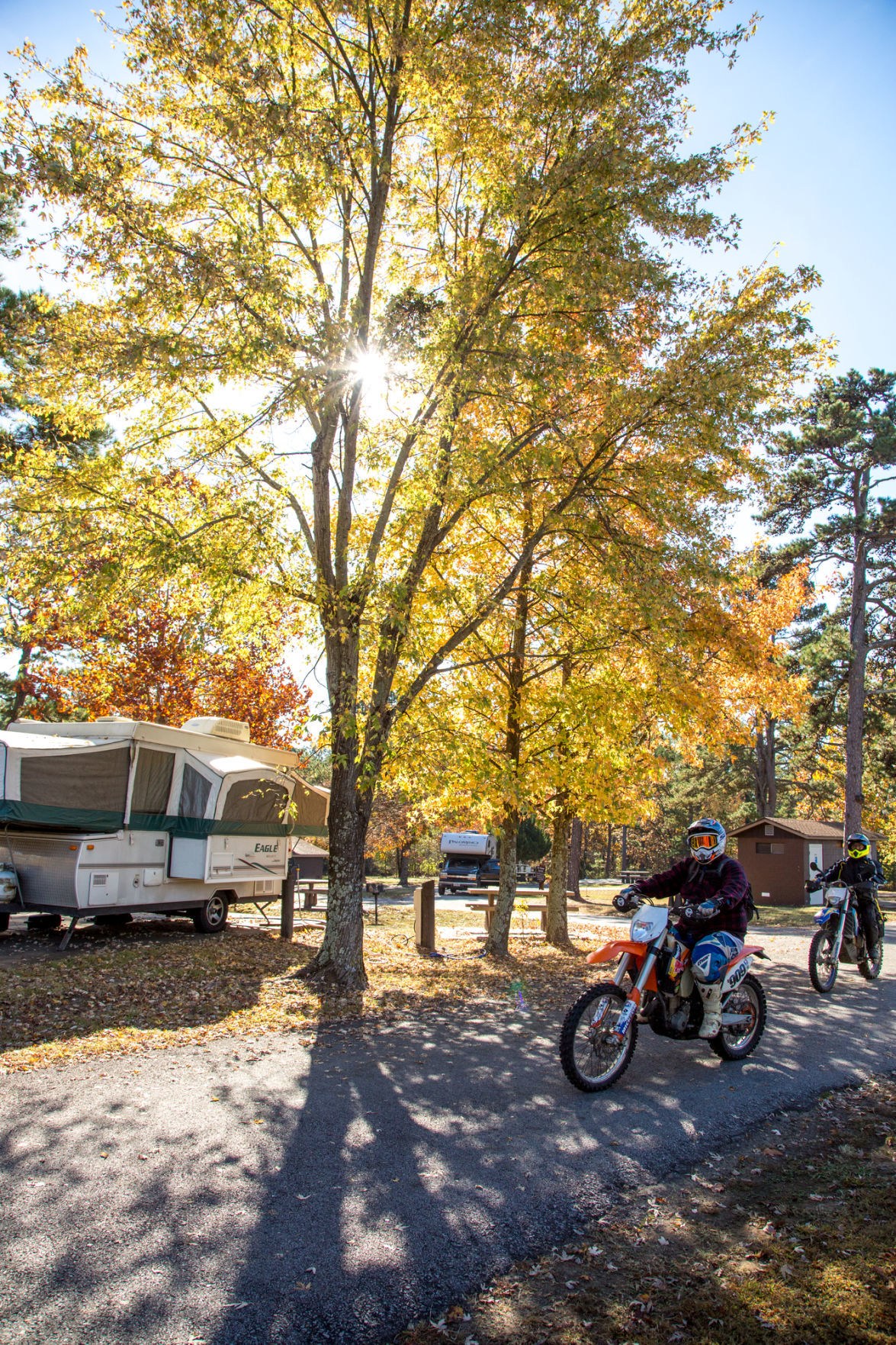Find fall foliage